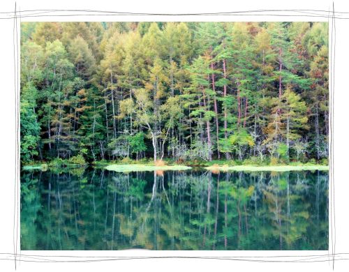 御射鹿池（みしゃかいけ）長野　茅野市　東山魁夷　緑響く　AQUOS　CM