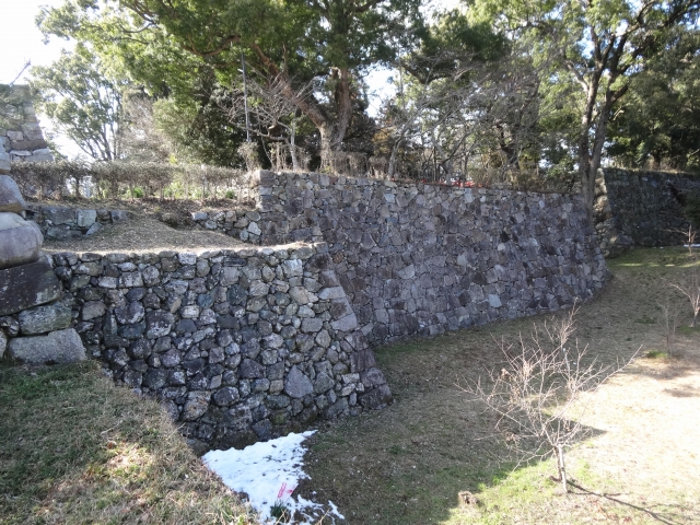 DSC00266.jpg