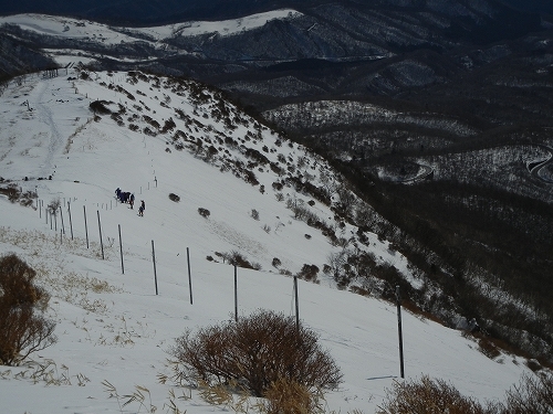 20140309キスゲ平２.jpg