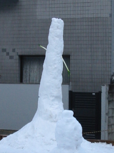 20140210_ネギが刺さってます.jpg
