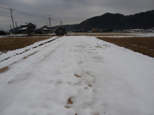 2013_12_31 001雪の畑 サイズ変更.jpg