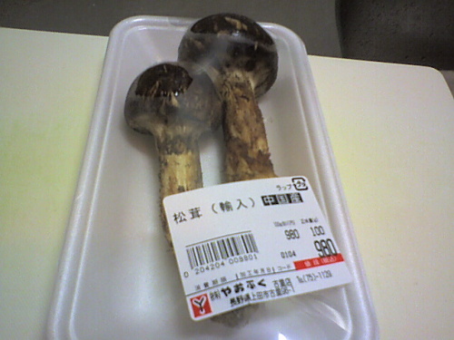 松茸01.jpg