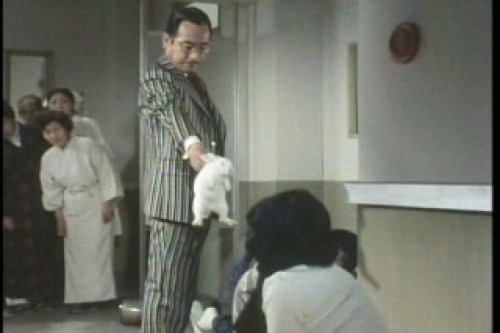 PDVD_050.jpg