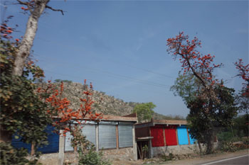 インド927.jpg