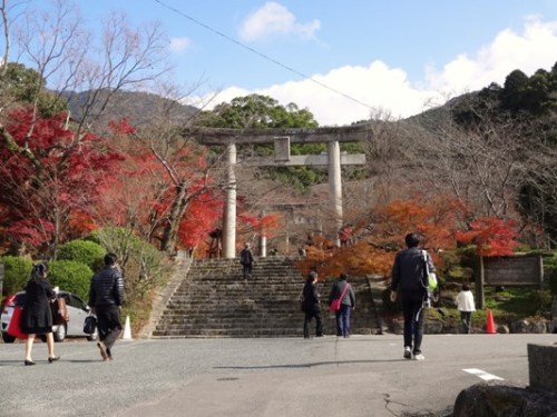 11月 竈門神社   (3).JPG