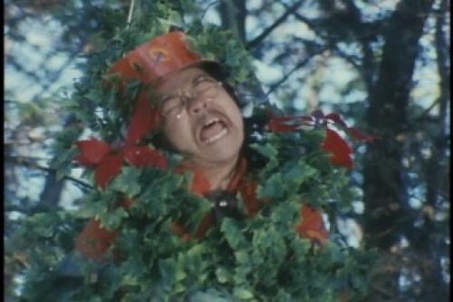 PDVD_026.jpg