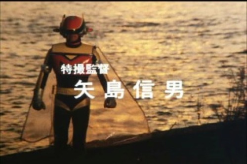 PDVD_032.jpg