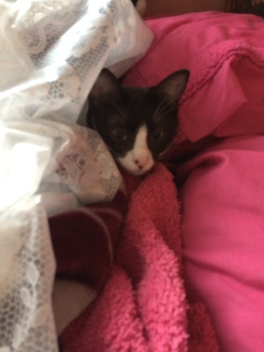 IMG_0380 - コピー.JPG