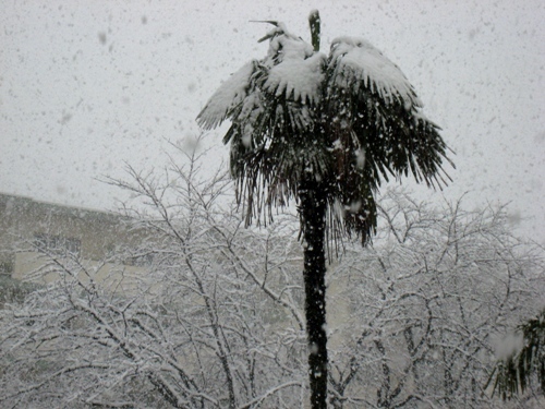 雪景色-5.jpg