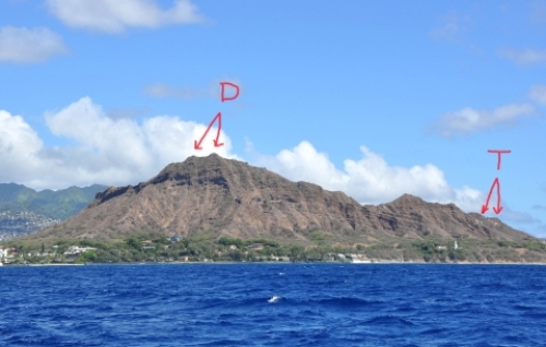 pict-マイタイ 60.jpg