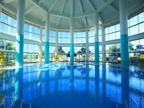 INDOOR POOL.jpg