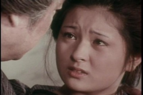 PDVD_005.jpg