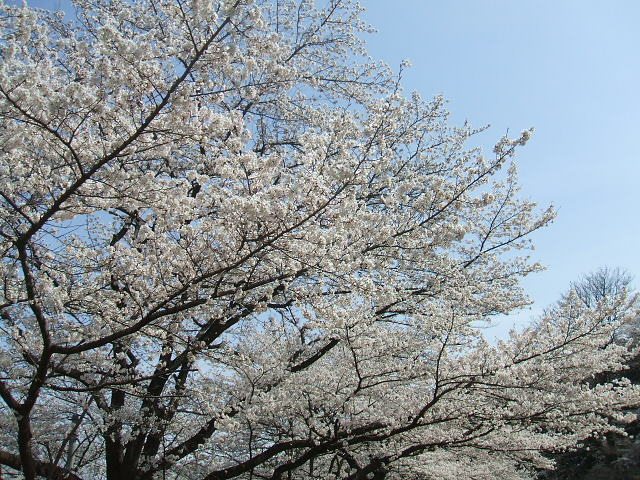 DSCF6309.JPG