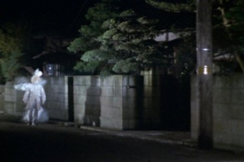 PDVD_015.jpg