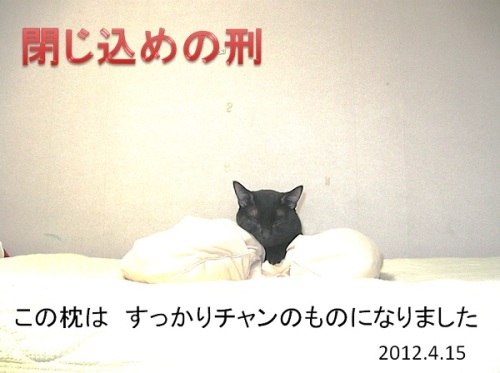 2012_04_15枕.jpg