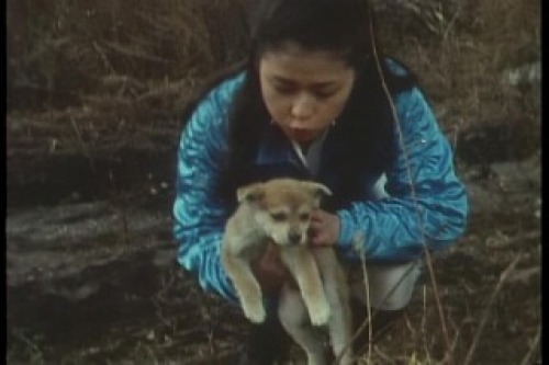 PDVD_003.jpg