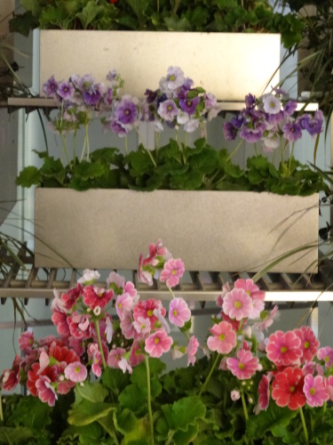 20140220-2.JPG
