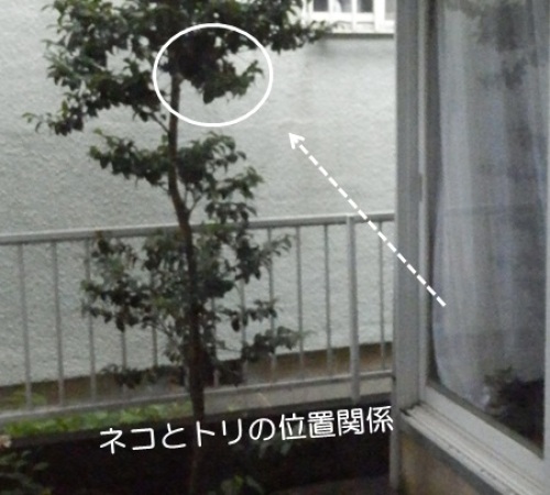 20150707_4.jpg
