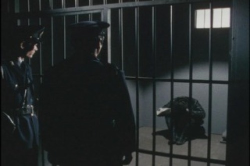 PDVD_009.jpg