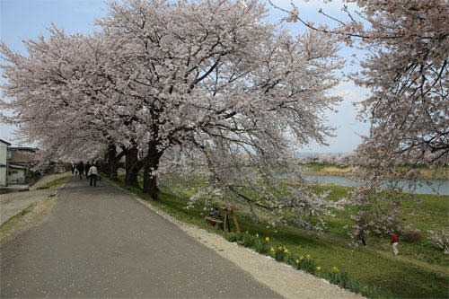 白石川11.jpg
