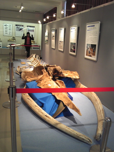 20160223 (4).JPG