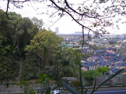 小机城富士仙元本丸方向 (500x375).jpg