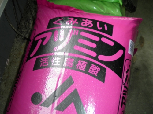 SANY0692 (640x480).jpg