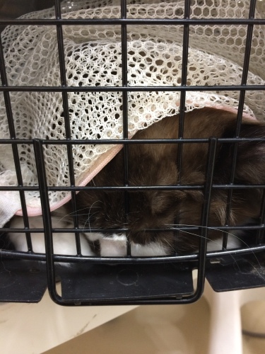 IMG_8758 - コピー.JPG