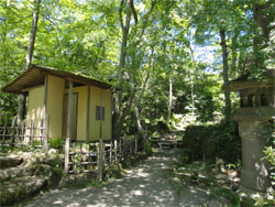 箱根33.jpg