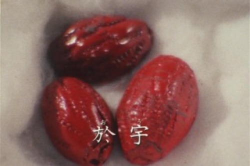 PDVD_027.jpg