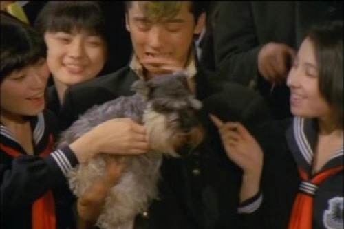 PDVD_016.jpg