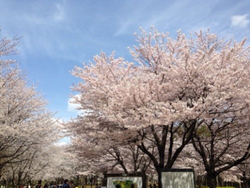 201404021240_0071_iphone.jpg