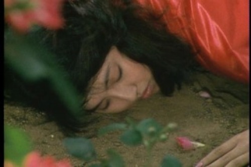 PDVD_009.jpg