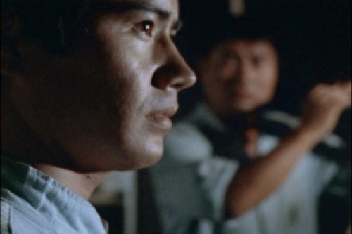 PDVD_031.jpg