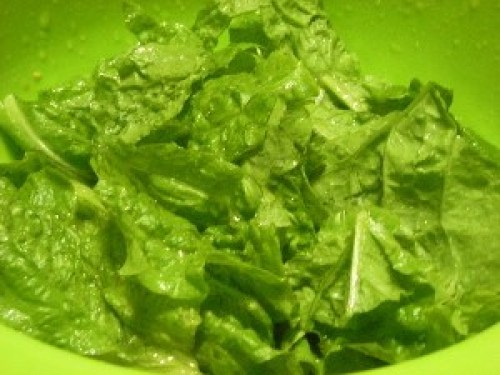 DSCN8850 (300x225).jpg