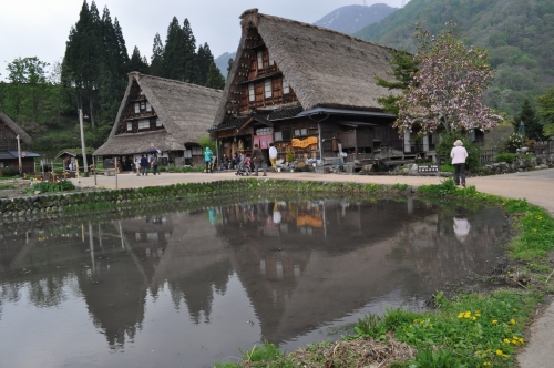菅沼その3.jpg