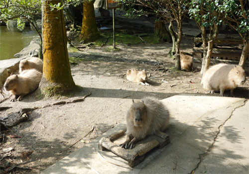 九州518.jpg