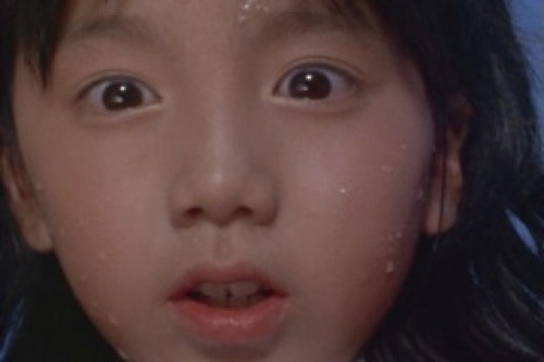 PDVD_016.jpg