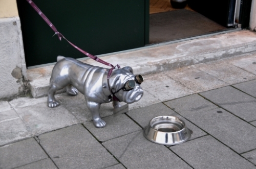 pict-鋼鉄の犬　3.jpg