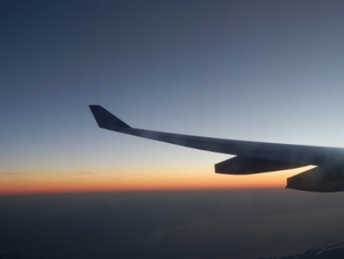 P8050584 (450x338).jpg