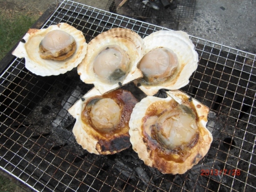 CIMG6926 (640x480).jpg