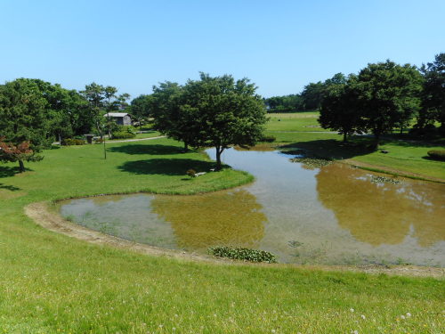 秋田城古代沼.JPG