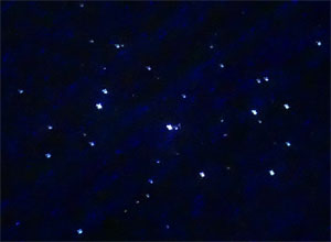M45 RX.jpg