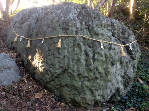 IMG_3931 (640x480).jpg