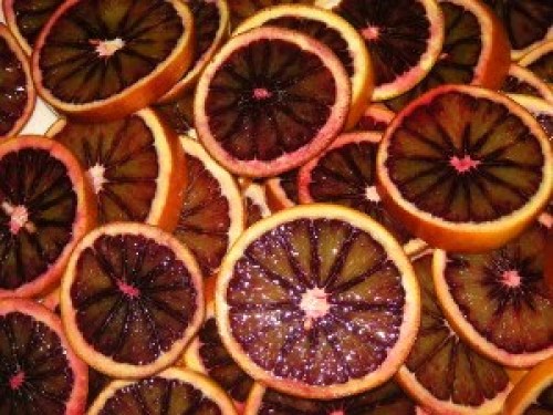 DSCN7433 (300x225).jpg