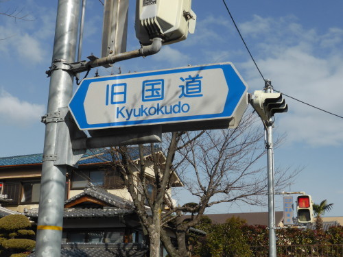 P1000799.JPG