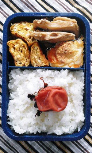 最初の弁当.jpg