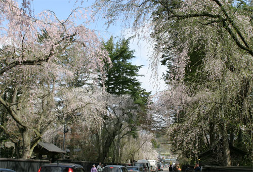 角館36.jpg