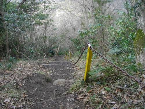 沼津アルプス徳倉山山頂 (5) (500x375).jpg