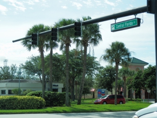 P8050500 (450x338).jpg